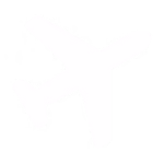 viaggi icon 150x150